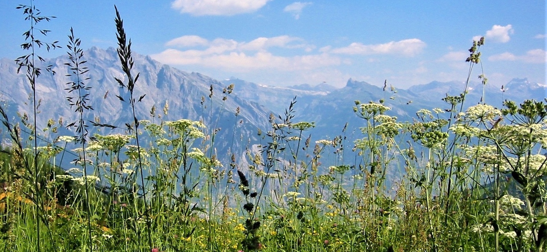 hiking-trail-336603_1280 (2)